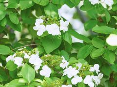 -苏州河梦清园环保主题公园