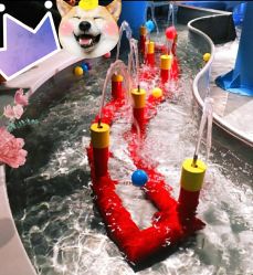 -北京科学中心儿童乐园