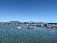 -春妮海味饭店·海景餐厅·海菜包子·大连海鲜