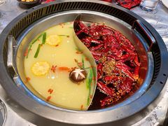 小熊鸳鸯锅-红辣椒·川菜·火锅(张杨路店)