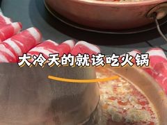 -东镇老火锅(长春路首店)