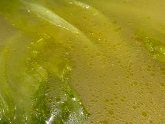 -熠盛粤味·顺德桑拿鸡(永康路店)
