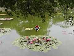 -国家植物园南园