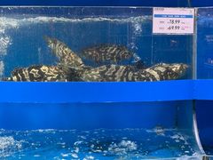 -果蔬好生活超市(乐堤港店)
