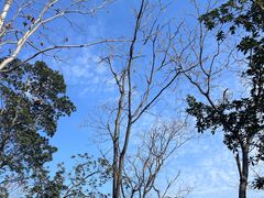 -昆山城市生态森林公园