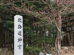 -北海道神宫