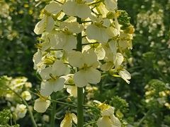 -中国天府农业博览园