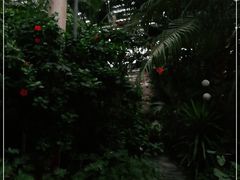 -龙达温泉生态城