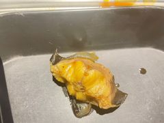 -新辣道鱼火锅(航天万源店)