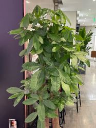 -崇尚GAVIN STYLE臻选