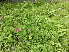 -宾朋海鲜特色美食餐厅·纯手工鲅鱼水饺(兴海路店)