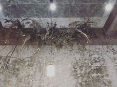 -侘寂甜品(自取店)