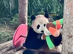 -大连森林动物园