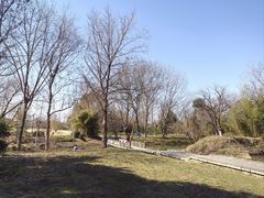 -西溪国家湿地公园