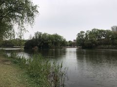 -新江湾城公园