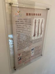 -圣瑞医疗上海圣恩儿科门诊部