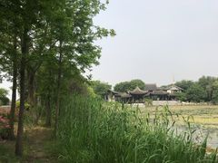 -高子水居