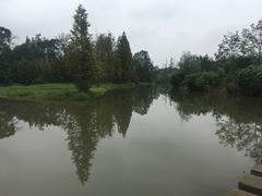 -桤木河湿地公园