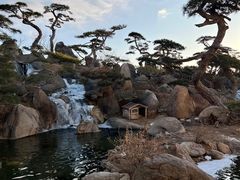 -罗红摄影艺术馆