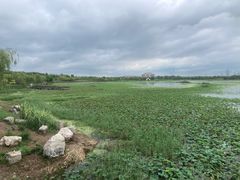 -天津东丽湖风景区