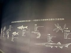 -中国湿地博物馆
