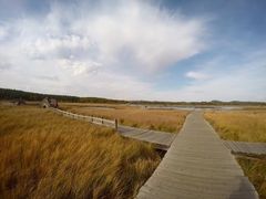 -塞罕坝国家级自然保护区