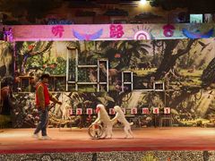 -呀路古热带植物园