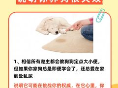 -立德动物医院·异宠·CT·鹦鹉(天河店)