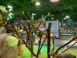 -酷嗒动物文化乐园(cutezoo西溪乐天城店)