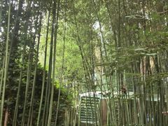 -竹泉村旅游度假区