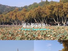 -北山街历史文化街区