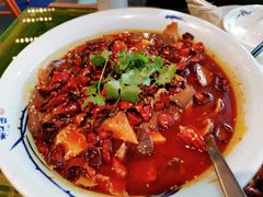 毛血旺-辛香汇(飞洲店)