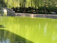 -团结湖公园
