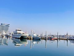 -巧克力渔家.小船海鲜胶东菜(万平口店)