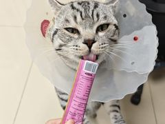 -中农国际动物医院24小时·猫科·骨科·急重症中心