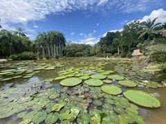 -中国科学院西双版纳热带植物园