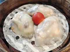 -新兴·金羊座·粤菜点心(乐峰店)