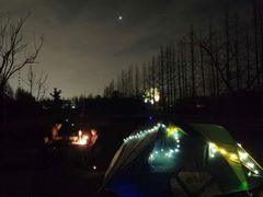 -前小桔亲子创意农场·草莓采摘·露营烧烤