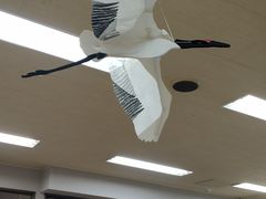 -钏路市丹顶鹤自然公园