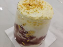 -飞行喵MR PILOT|猫舍·猫咖(静安大融城店)