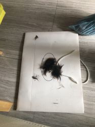 -龙文宝贝上门婴儿理发满月剃胎毛(总店)
