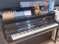 -雅歌音乐培训中心·钢琴培训·乐器培训(交道口店)