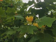 -玄武湖景区-情侣园游乐场