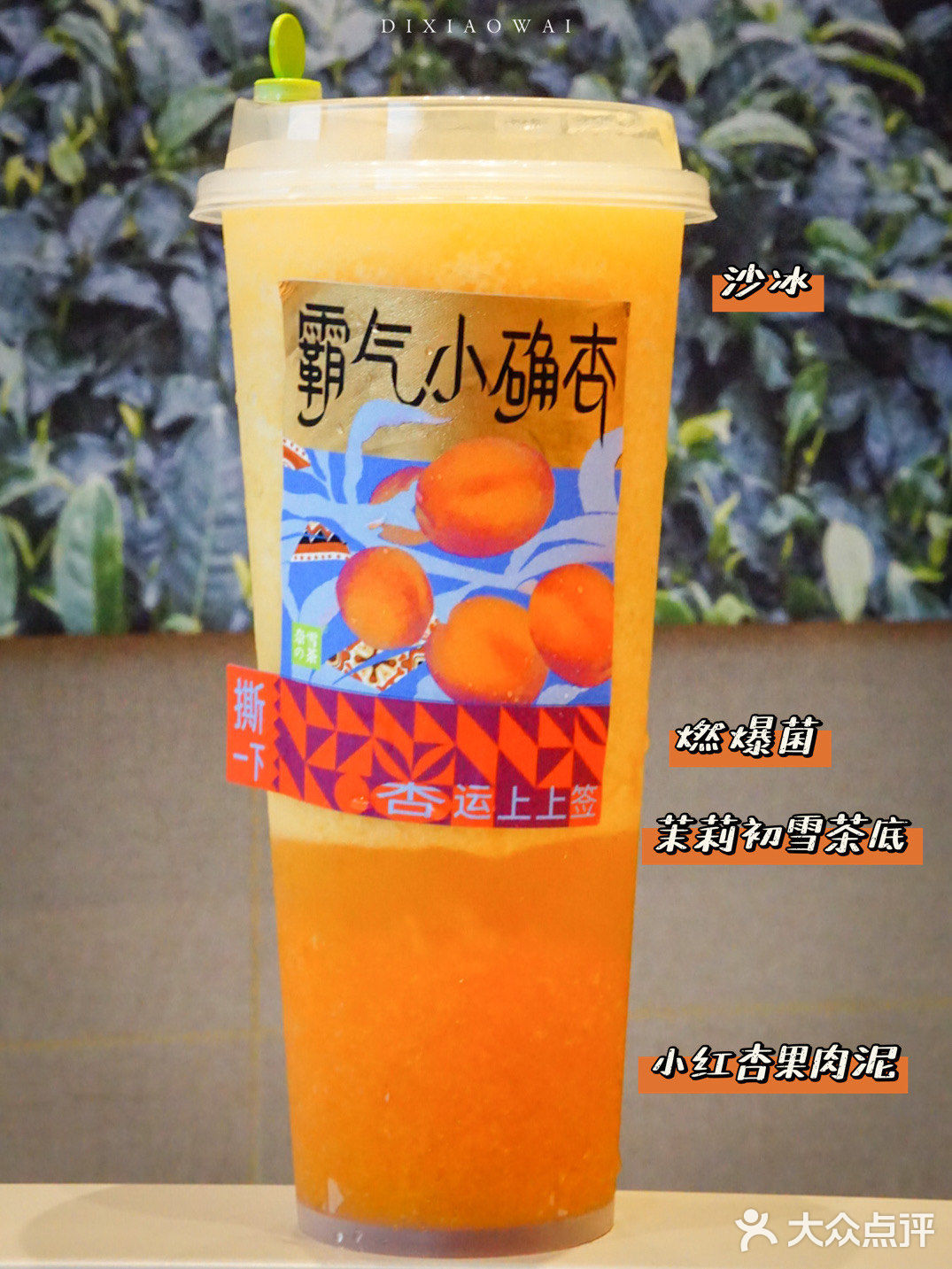 探店｜开启幸运十月👋🏻奈雪助你拿下“杏”运签📮