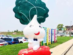 -上海都市菜园