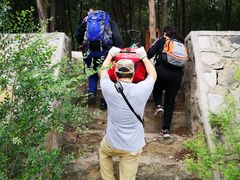 -阳台山自然风景区