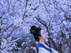 -九月鹰飞汉服摄影工作室