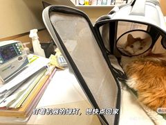 -康成宠物医院24H·CT·核磁共振