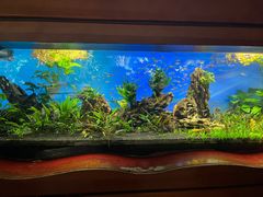 -太平洋海底世界