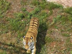 -大青山野生动物园
